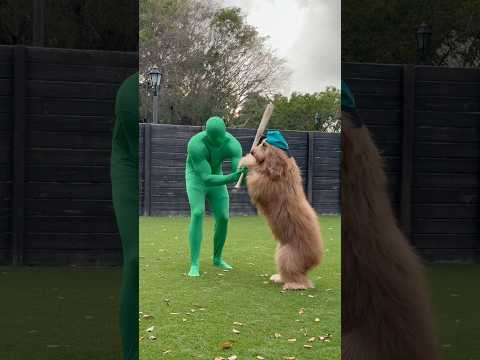 How my dog won an Oscar! 🐶🏆 #dogactor #goldendoodle #dogdad