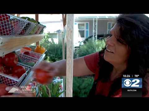 Kaylene's Greenhouse – Pay it Forward | Mountain America Credit Union