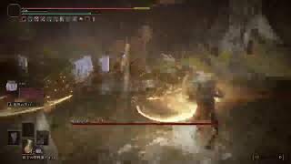 [ ELDEN RING ]　#40　なんか王を目指せるらしいので、鯖行きます！！