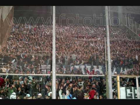 le migliori tifoserie