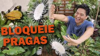 Proteja suas plantas das Pragas
