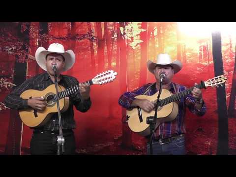 Prog. Prosa, Café e Viola 299 ZÉ BERNARDO & ADEMARQUES, CLEITON V. & PINHEIRENSE e RENATO CHAPINII