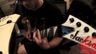 Unanimated - &quot;Life Demise&quot; Cover