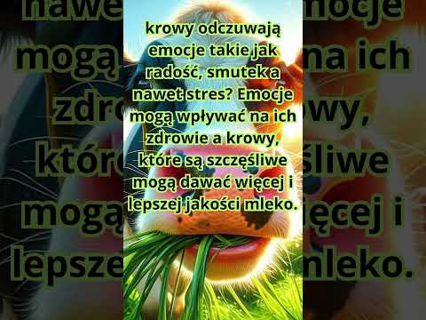 , title : 'Krowy #krowy #emocje #mleko #ciekawostki #fakty #zwierzęta #shorts #animals'