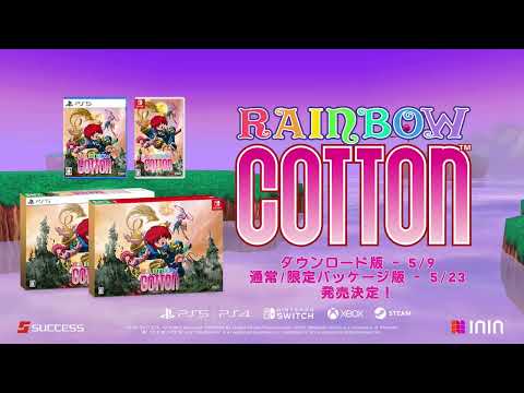 RAINBOW COTTON 非売品 レインボーコットン 限定 クリアファイル 91aDdTjYe-L._UF894,1000_QL80_.jpg
