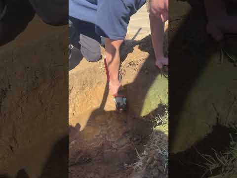 Video Thumbnail Video Thumbnail