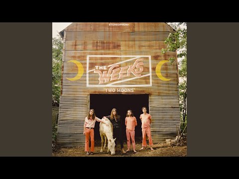Paper Mâché Houses - The Weeks