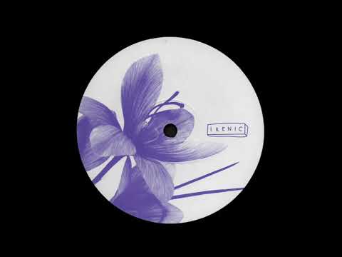 A2. Roger Gerressen - Women [IRENIC005]