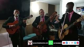 Video de Trio musical Alma Mia
