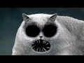 Flapjack Cat Scene