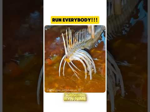 RUN BRO‼️EREN IS COMING #trendingshorts #anime #attackontitan #america