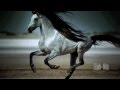 Wild Horses Natasha Bedingfield Music Video