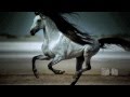 Wild Horses Natasha Bedingfield Music Video 