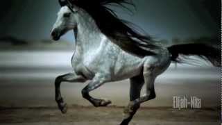 Wild Horses Natasha Bedingfield Music Video