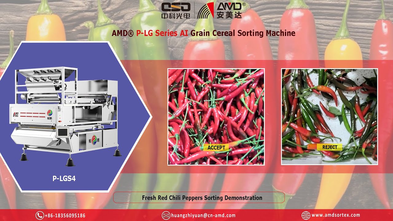AMD® P-LGS4 AI Color Sorter Food Industry Sortex Machine Price for Fresh Red Chili Pepper Sorting