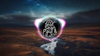 Pitbull feat. Sean Paul &amp; Lil Jon - Culo (Remix) Birdsea