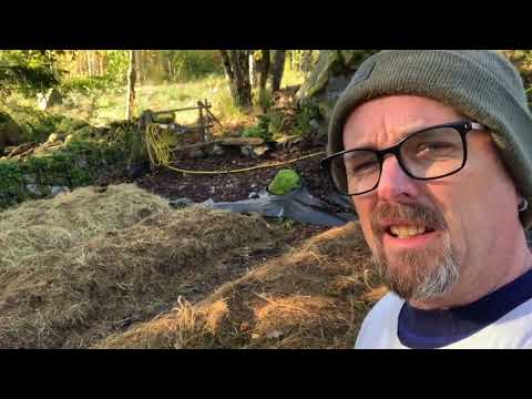 Så här gör jag en Täckodling