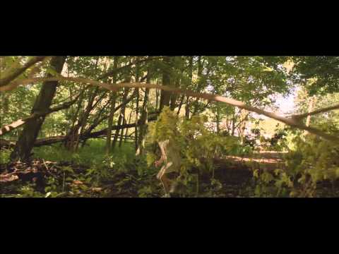 BORGMAN Clip - New Gardener