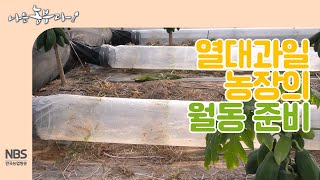 [나는농부다 227회] 아열대 작물 전기 열풍기와 비닐 덕트 설치하기