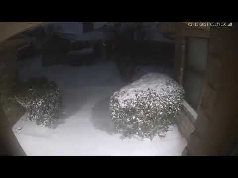 Historic Snowfall in Plano, TX 02-15-2021