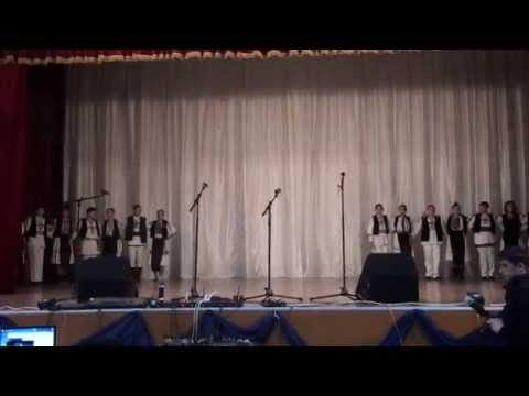 Ansamblul Nedeia Petrileană.Dans momârlănesc