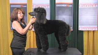 Diane Betelak Poodle Face & Tail Demo