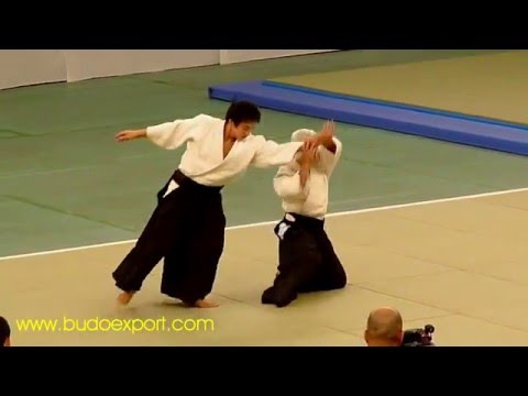 Aikido - Doshu Moriteru Ueshiba - 47th All Japan Aikido Demonstration