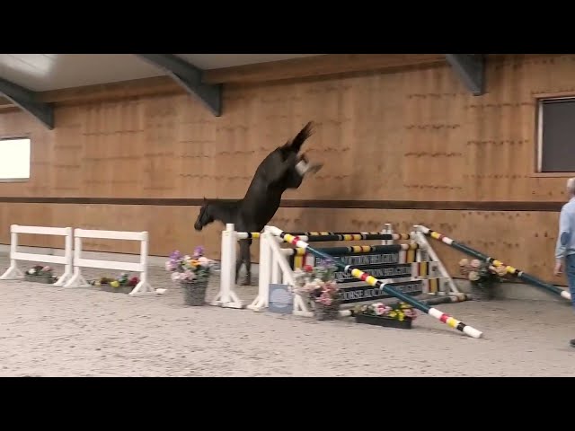 Jumping