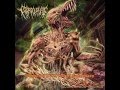 Coprocephalic Gluttonous Chunks Full Album