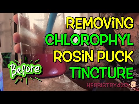 Best Remove Chlorophyll From Cannabis Tincture Guide — 5 Steps