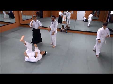 Aikido Seminar: Accommodation - Aikido's Hidden Weakness