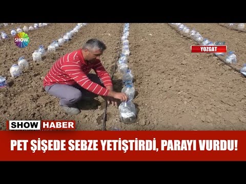 , title : 'Pet şişede sebze yetiştirdi, parayı vurdu!'