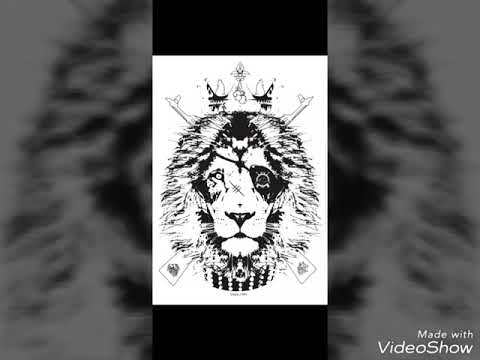 TZ "EVERYDAY" EM2S 2018