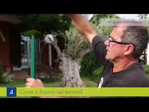 Видеообзор