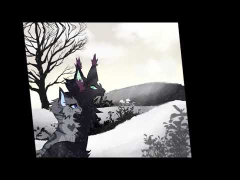 Cinderheart & Hollyleaf || by -Miru-