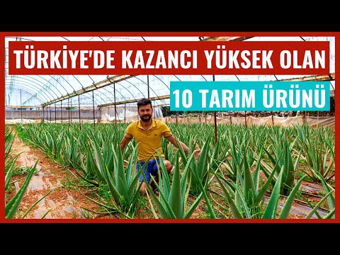 , title : 'Türkiye'de En Çok Para Kazandıran Tarım Ürünleri | Tropikal Meyve Üretimi'