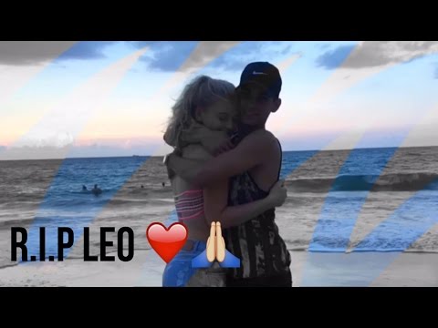 Leo breakup video // Loren beech and flamingoes