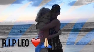 Leo breakup video // Loren beech and flamingoes