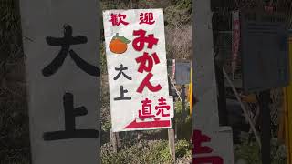 熱海駅〜湯河原町　3月15日