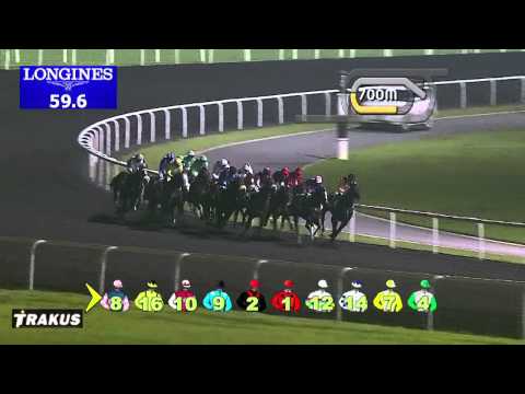 23.01.2014 Meydan (Dubai-UAE) 3.Race Gulf News Classifieds - Handicap 1.600 m