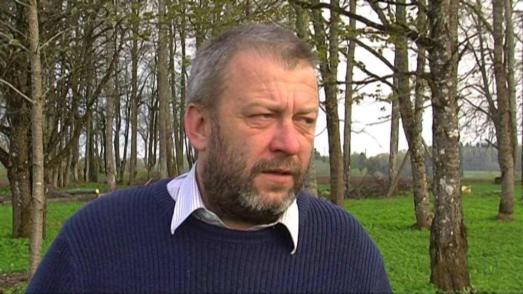 Suminot Allažu ķimeļa 190 jubileju, Allažos sēj ķimenes