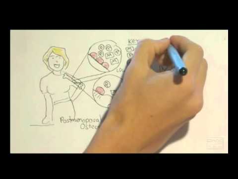 Cancer Introduction I