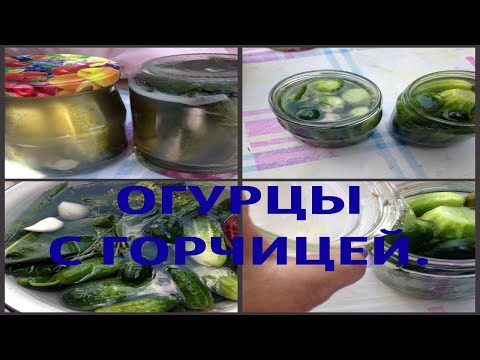 Консервируем огурцы с горчицей .