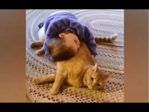 Cats and Babies Funny Videos( komik kediler ve bebekler )