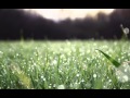 Just Relax/Sleep Music [1440p] [oNlineRXD] [Part ...