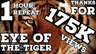 Eye of the Tiger 1 Hour Repeat