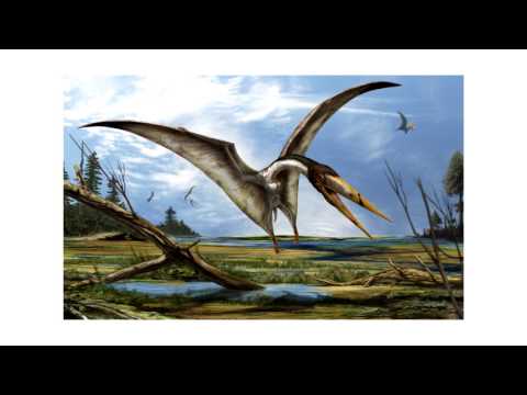 Prastary - Tak To Jest