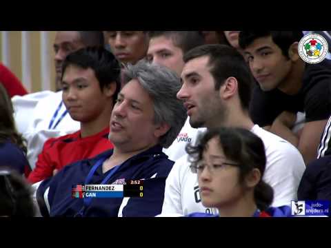 Judo 2013 Grand Prix Miami: Fernandez (USA) - Gan (MGL) [-81kg] bronze