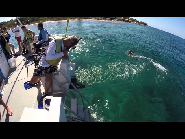 Catamaran Sailing and Snorkeling Tour in Cozumel