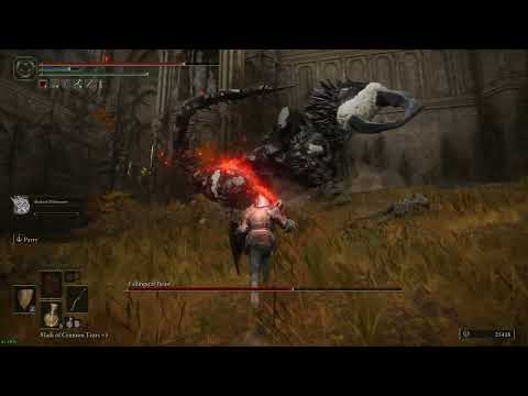 97 - Capital Outskirts Fallingstar Beast Boss